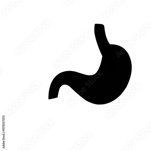 Stomach Silhouette icon