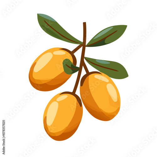 Simple flat 2D icon argan branch isolated on transparent background, vector, flat design, animation design, vector, flat design, animation design, simple flat 2D icon, clipart