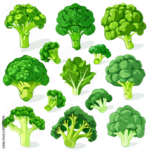 Simple flat 2D icon green broccoli isolated on transparent background, vector, flat design, animation design, vector, flat design, animation design, simple flat 2D icon, minimalist design, clipart