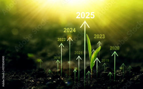 Seedling are growing from soil with growth comparative year 2019 to 2025. Concept of business growth, profit, agriculture, development and success graph.	
