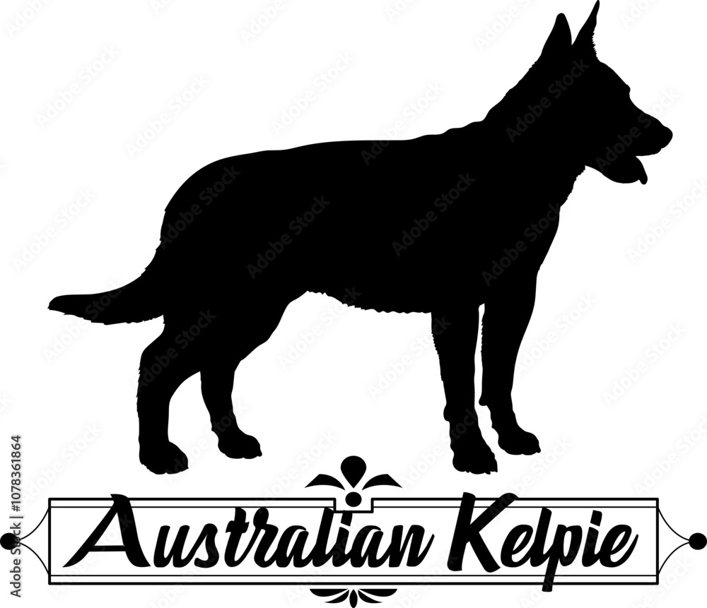 Australian Kelpie. dog silhouette, dog, dog breeds, logo, vector, silhouette, logo design, animal, illustration, icon, sign, design, black, symbol, pet
Australian Kelpie. dog silhouette, dog, dog breeds, logo, vector, silhouette, logo design, animal, illustration, icon, sign, design, black, symbol, pet