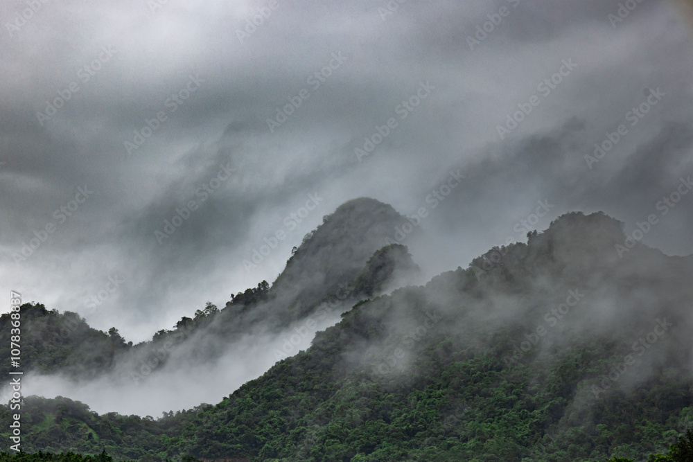 Before the rain, the high mountains are covered with clouds, making the atmosphere mysterious and interesting. This photo was taken in Myanmar with a high-resolution camera. Before the rain, the high mountains are covered with clouds, making the atmosphere mysterious and interesting. This photo was taken in Myanmar with a high-resolution camera.