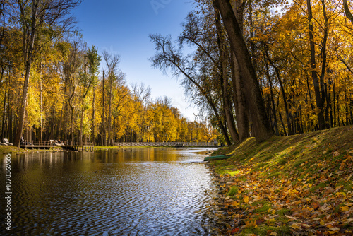 A beautiful autumn day with a river and trees