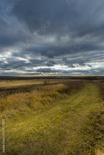 A field with a dirt road in the middle of it