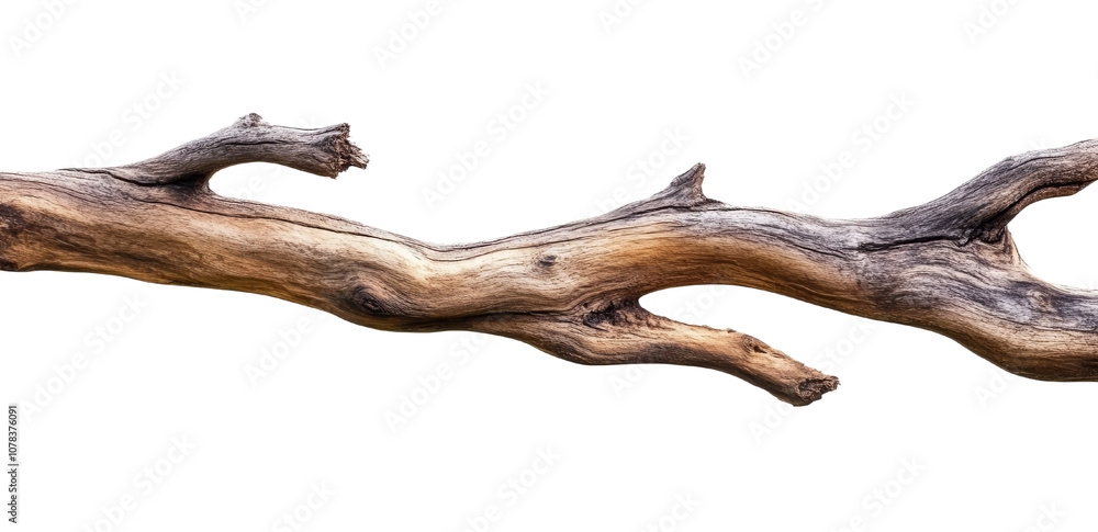 Obraz premium Driftwood branch , PNG transparent background
