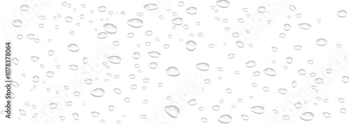 Rain water drops falling on transparent background. Wet, clear surface with bubbles on the surface. Realistic clear water, water drops for creative banner design photo