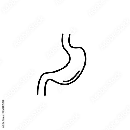 Stomach line icon