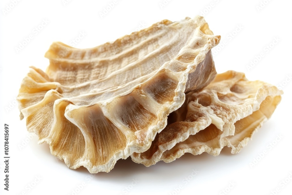 Beef tripe trippa bovina set against a white backdrop Beef tripe trippa bovina set against a white backdrop