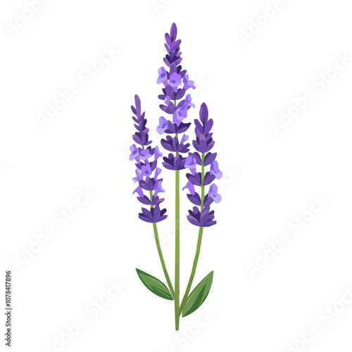 Simple flat 2D icon purple lavender branch isolated on transparent background, vector, flat design, animation design, vector, flat design, animation design, simple flat 2D icon, clipart