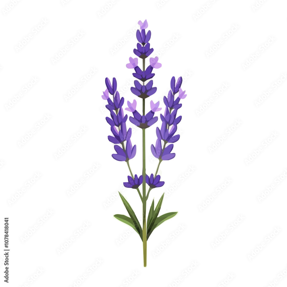 Obraz premium Simple flat 2D icon purple lavender branch isolated on transparent background, vector, flat design, animation design, vector, flat design, animation design, simple flat 2D icon, clipart