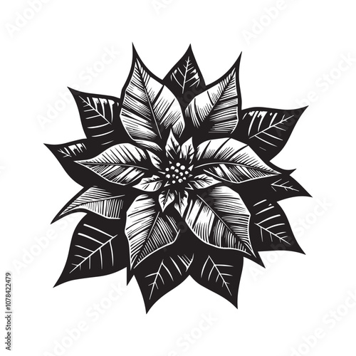 Classic Black and White Poinsettia Illustration for Festive Designs. This striking black and white illustration of a poinsettia captures the essence of holiday cheer.