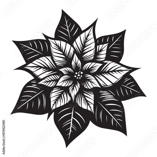 Classic Black and White Poinsettia Illustration for Festive Designs. This striking black and white illustration of a poinsettia captures the essence of holiday cheer.