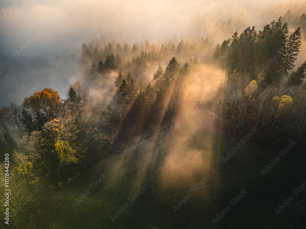 Mystical autumn mood in Bavarian Forest with sunset, mountains a