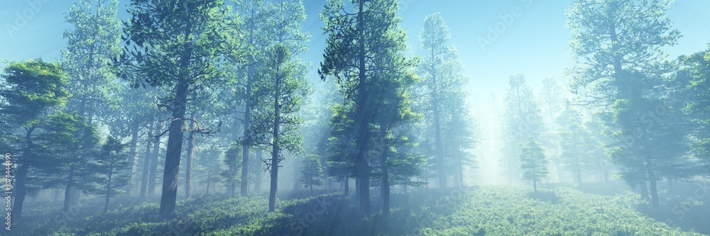 Φωτογραφία Forest in the morning in a fog in the sun, trees in a haze of light, glowing fog