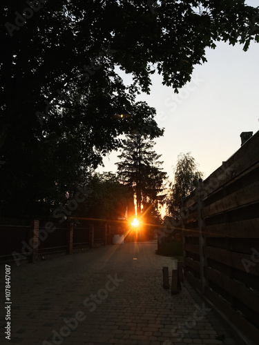 Sunset view through trees and fences on a quiet street