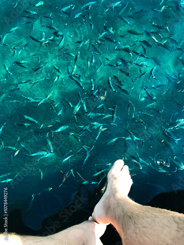 Bare feet dangle above clear turquoise water teaming with fish