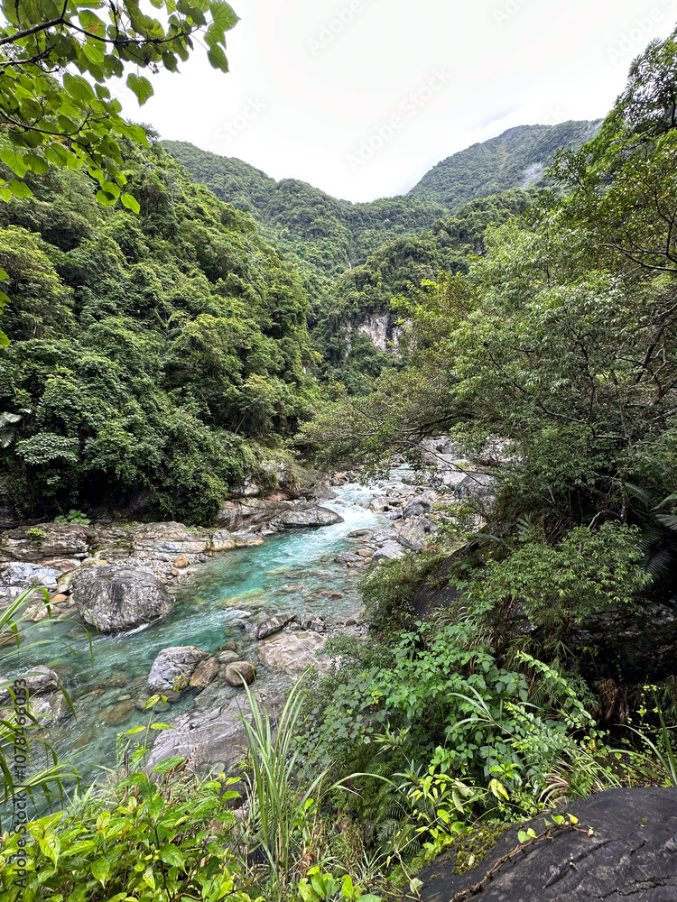 Beautiful Verdant River Flowing Through Lush Green Forest Beautiful Verdant River Flowing Through Lush Green Forest