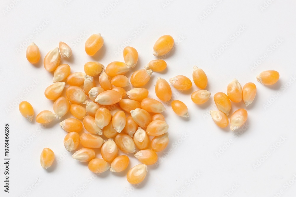 Fototapeta premium Corn