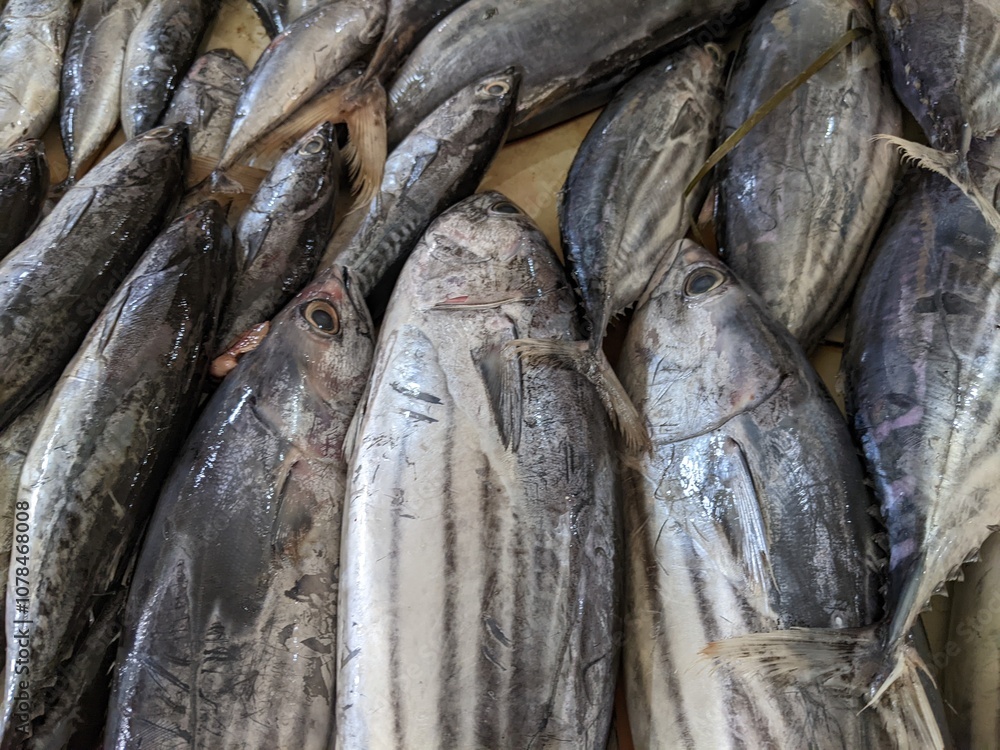 Obraz premium tuna fish sold in the market