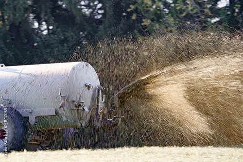 A tractor in an agricultural field spreads manure from a tanker and fertilizes grassy vegetation for cattle feed. Fertilizer and vegetation in agriculture.