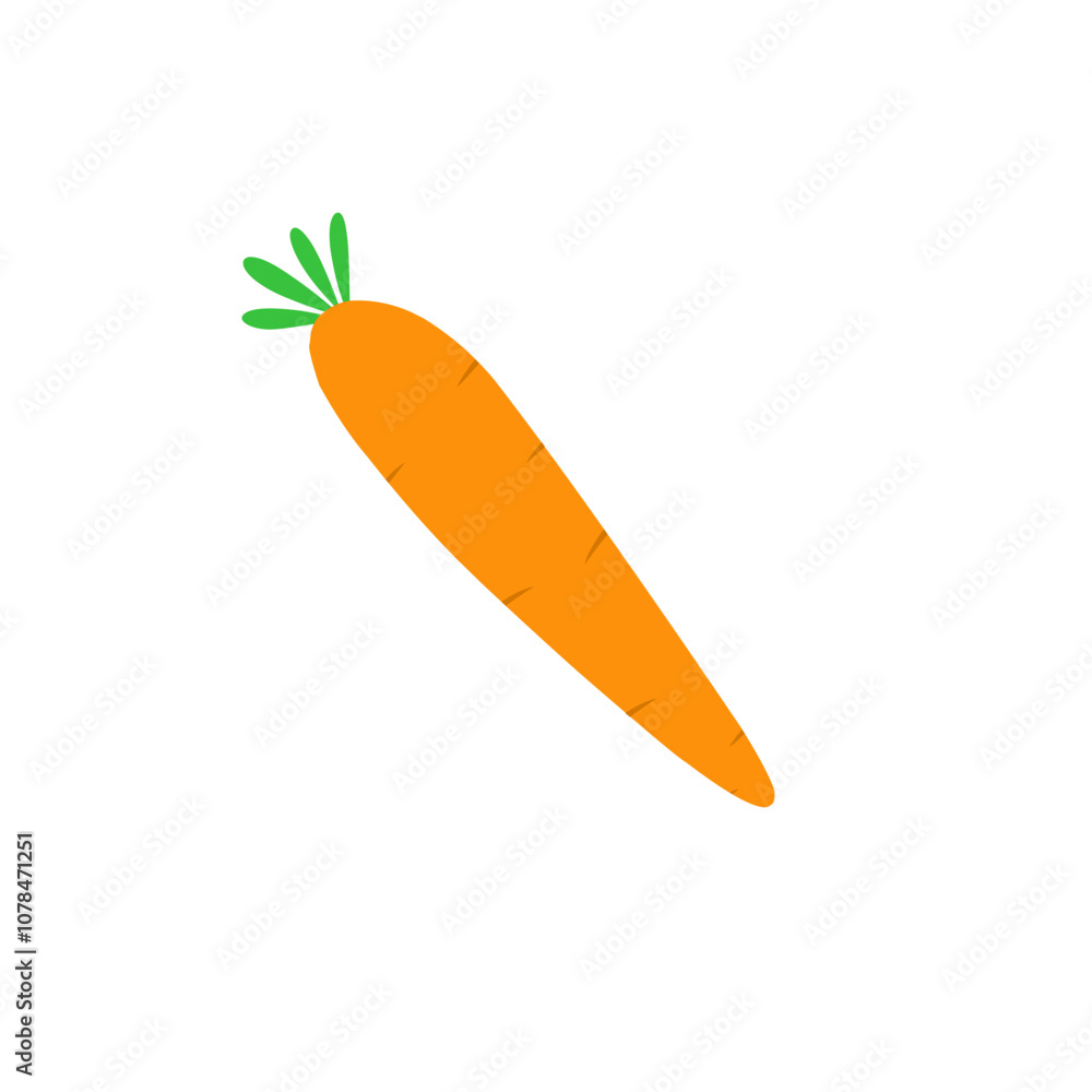carrot vector carrot vector