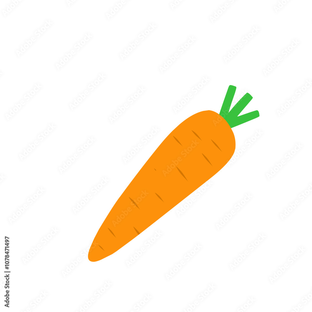 carrot vector carrot vector