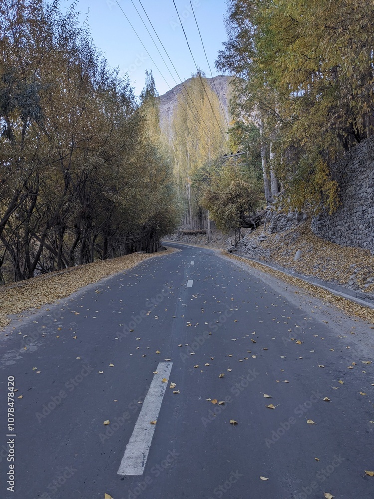 Fototapeta premium winding road in the autumn
