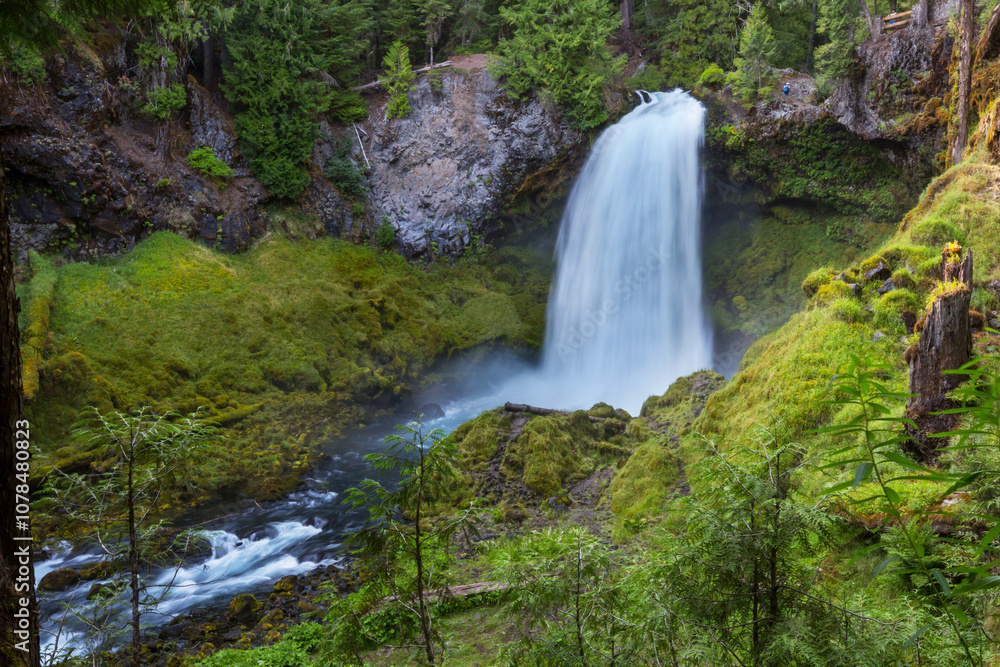 Obraz premium Waterfall in the forest