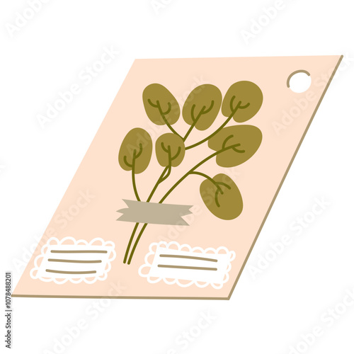 Flat illustration of leaves from a herbarium. branch of eucalyptus attached to page. Dried flower in the catalog. decorative element of floral design. Herbs, plant leaves with piece of tape attached