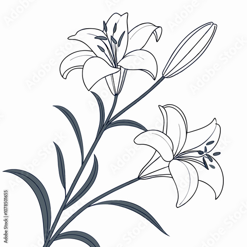 Elegant line drawing of a lily flower in bloom. The delicate petals and graceful stem are perfect for creating a sense of peace and tranquility in your design.