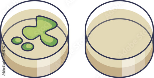 Two petri dishes, one with green cultured microorganisms, symbolize scientific research.
