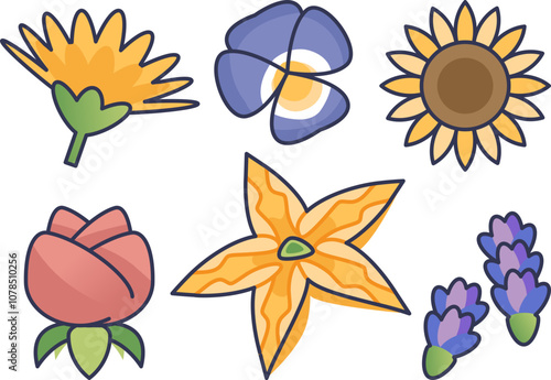 Colorful edible flowers illustration symbolizing nature's beauty and culinary creativity.