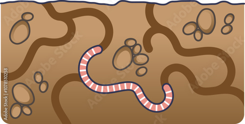 Illustration of an earthworm in soil, highlighting its tunneling system and soil aeration.