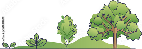 Illustration of plant growth stages from seedling to mature tree.