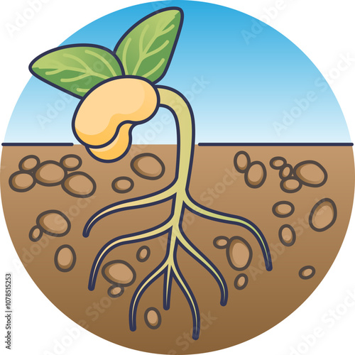 Illustration of a sprouting seed with roots and leaves, symbolizing growth and potential.