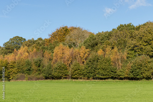 Autumn colours on a sunny day, on the edge of a field