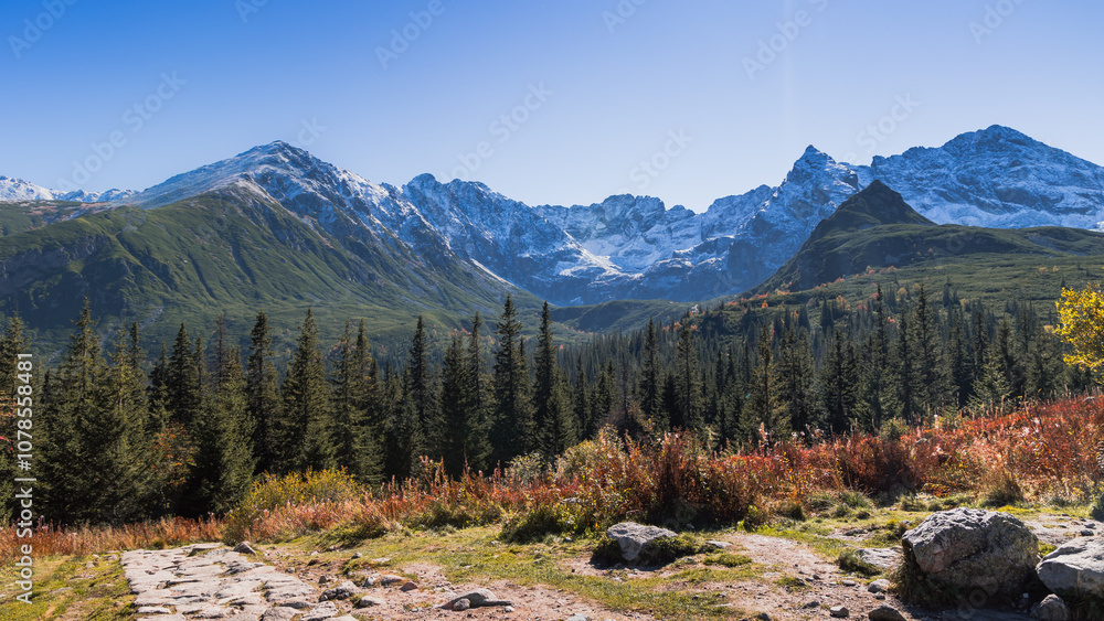 Fototapeta premium Panorama Hali Gąsienicowej