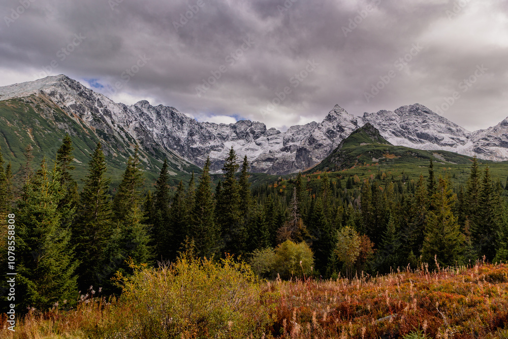 Fototapeta premium Hala gąsienicowa w chmurach