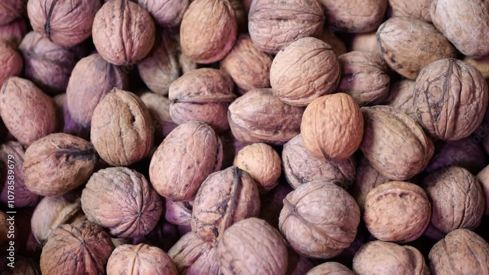 walnuts close-up fresh harvest nuts in shell walnuts close-up fresh harvest nuts in shell