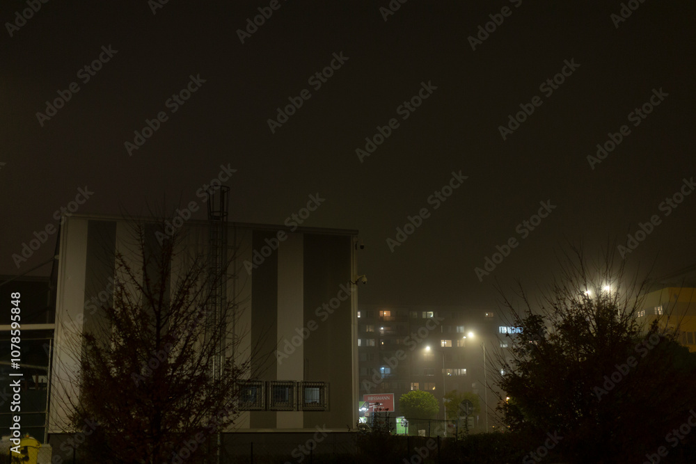 On a foggy night, a captivating cityscape is unveiled, featuring beautifully illuminated buildings and silhouetted trees, which together create a truly mysterious and enchanting atmosphere On a foggy night, a captivating cityscape is unveiled, featuring beautifully illuminated buildings and silhouetted trees, which together create a truly mysterious and enchanting atmosphere