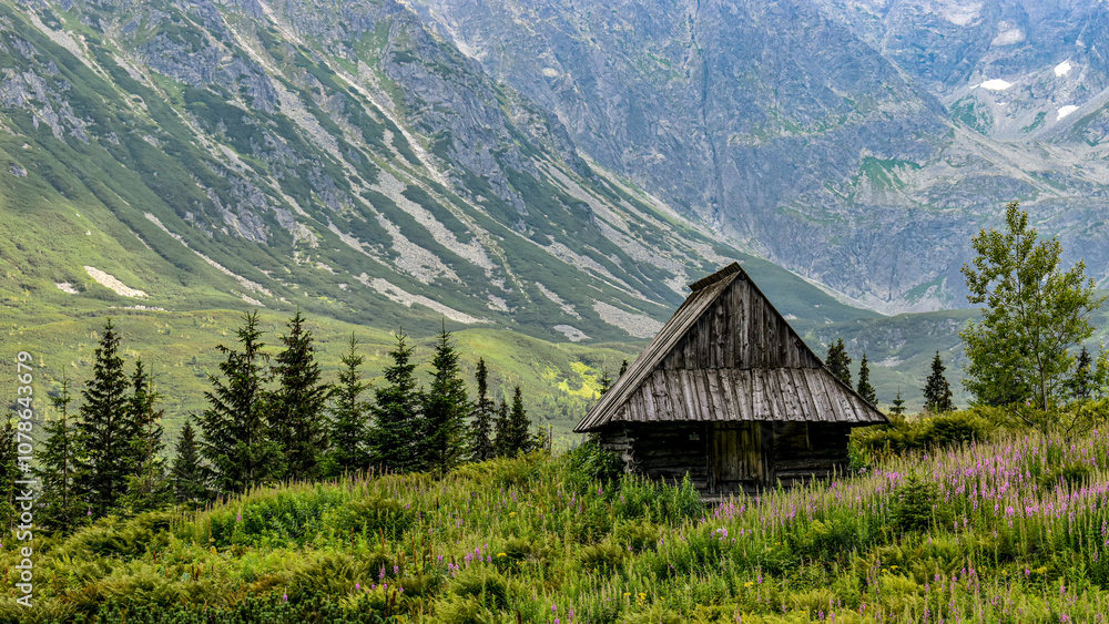 Shepherd's hut on Hala Gąsienicowa in Polish Tatra Shepherd's hut on Hala Gąsienicowa in Polish Tatra