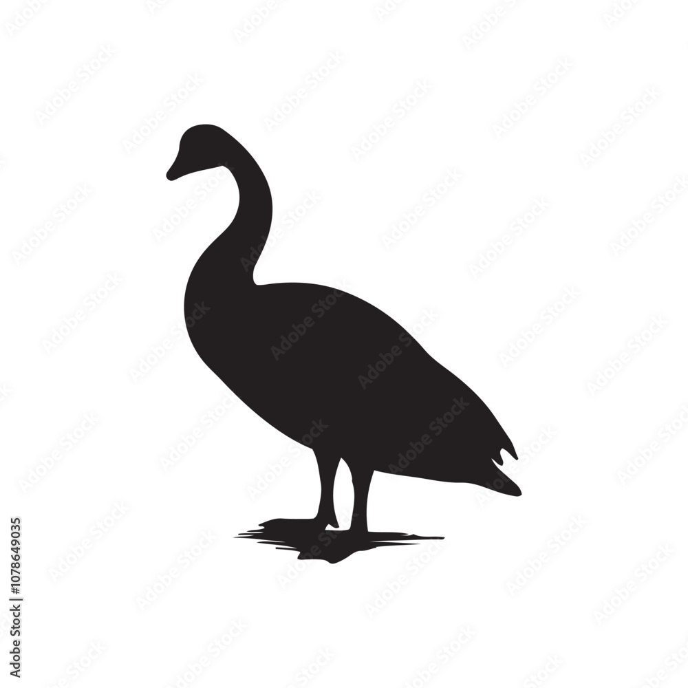 goose isolated on white, Black silhouette of goose. Isolated image of farm bird. Domestic amimal icon. Isolated image goose isolated on white, Black silhouette of goose. Isolated image of farm bird. Domestic amimal icon. Isolated image