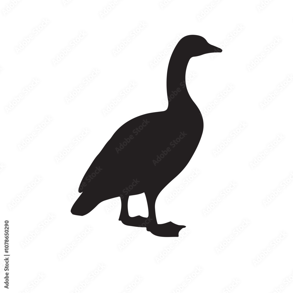 goose isolated on white, Black silhouette of goose. Isolated image of farm bird. Domestic amimal icon. Isolated image goose isolated on white, Black silhouette of goose. Isolated image of farm bird. Domestic amimal icon. Isolated image
