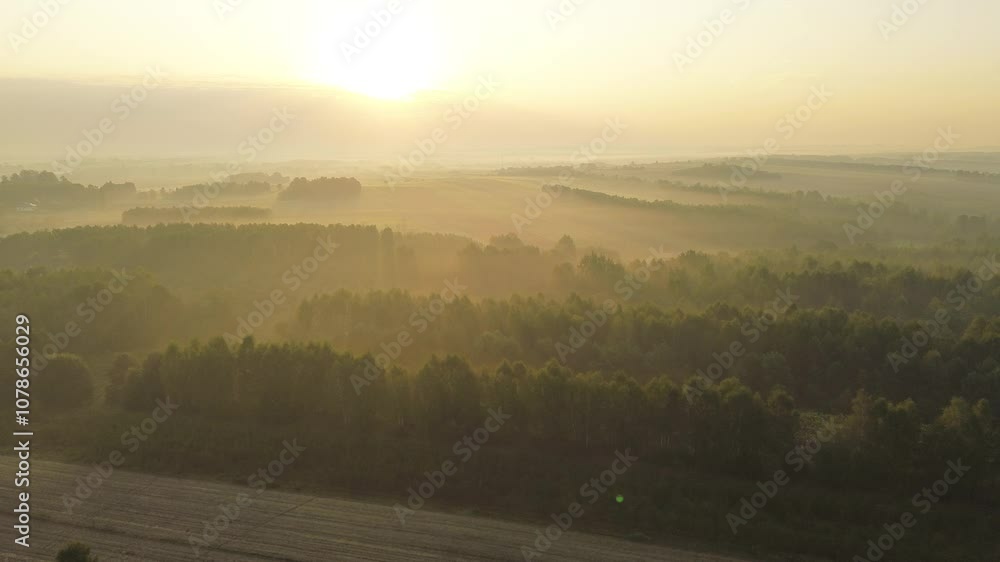 Golden sunlight breaking through misty valley Golden sunlight breaking through misty valley