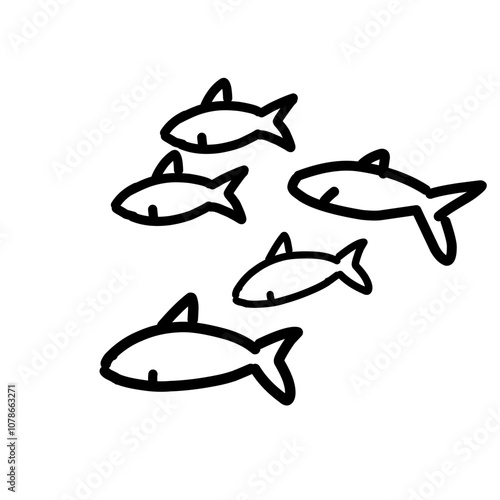 fish on a white background