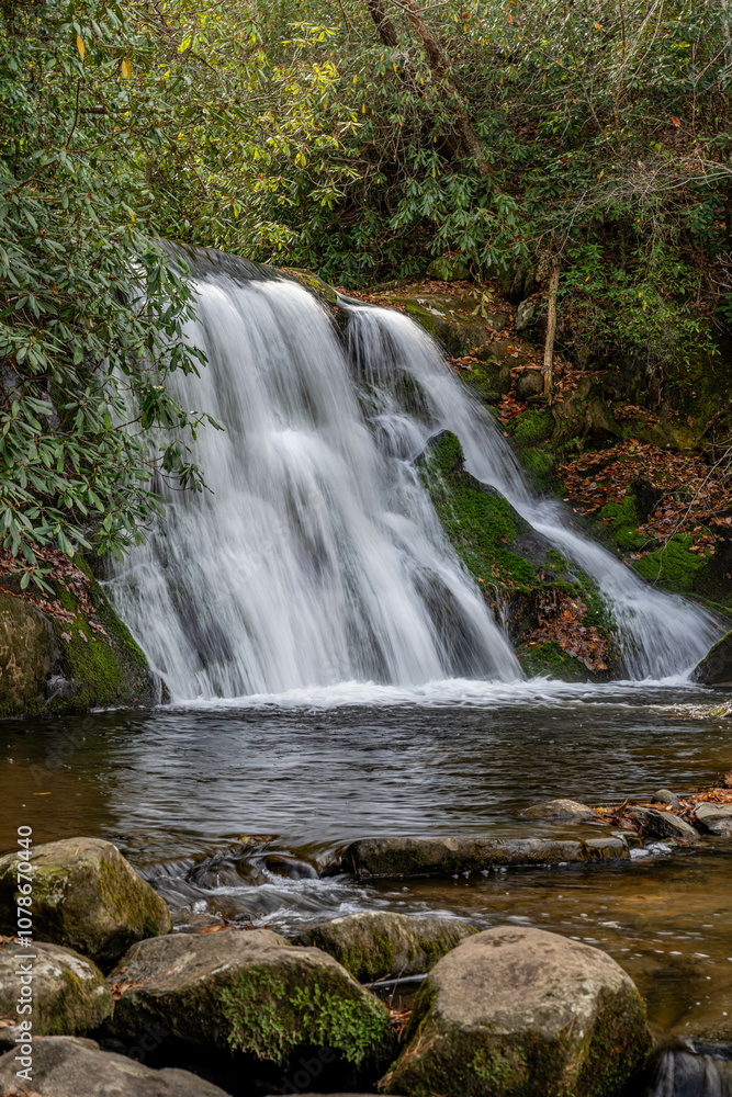 Fototapeta premium yellow creek falls, robbinsville, north carolina