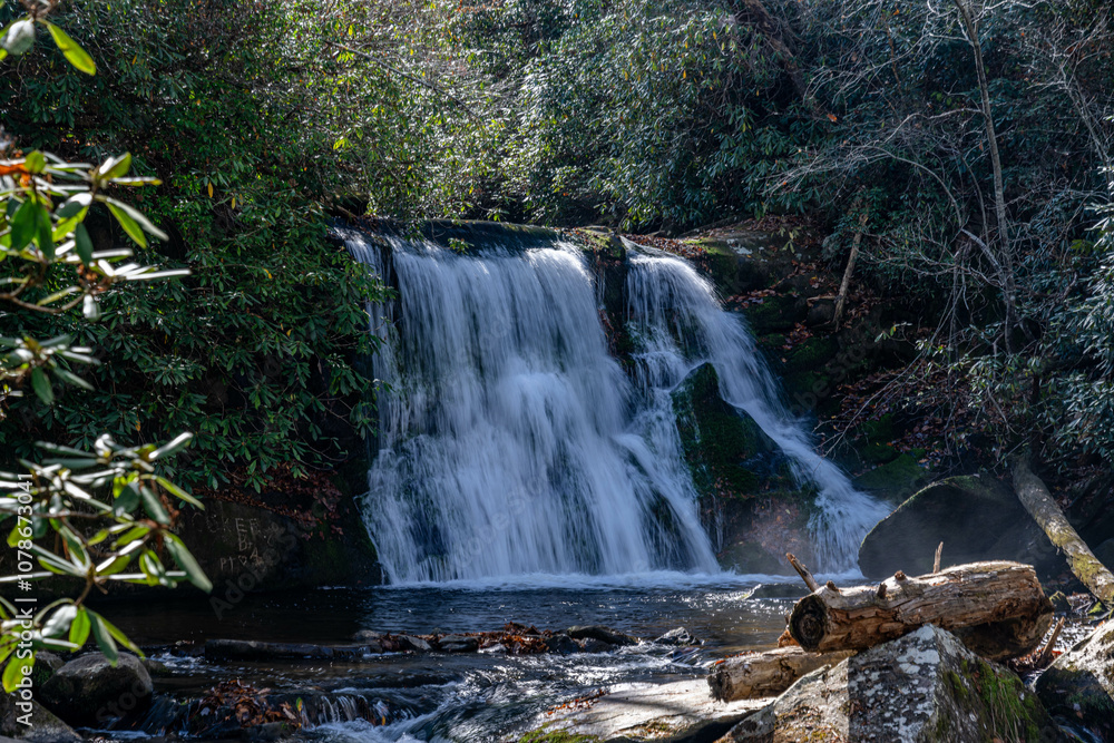 Fototapeta premium yellow creek falls, robbinsville, north carolina