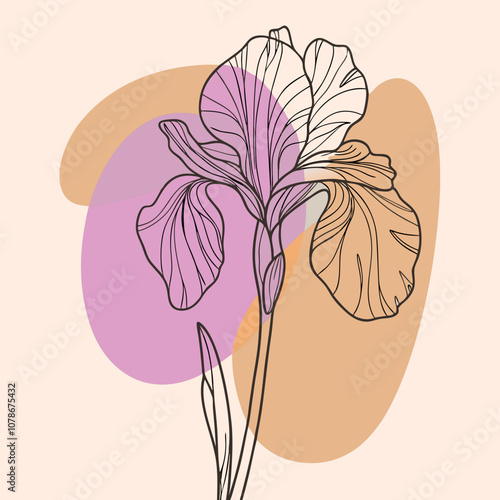 Stunning Iris Flower Vector Illustration, A Masterpiece of Floral Art.