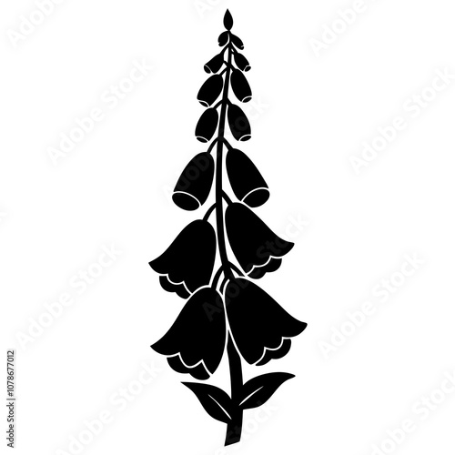 silhouette of a foxglove