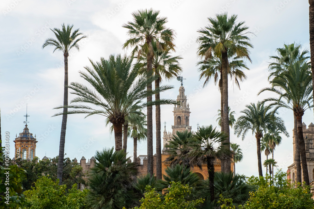 Magnificent images of Alcaza de Sevilla, located in the Seville district of Spain, which is still used as a royal palace today. Magnificent images of Alcaza de Sevilla, located in the Seville district of Spain, which is still used as a royal palace today.